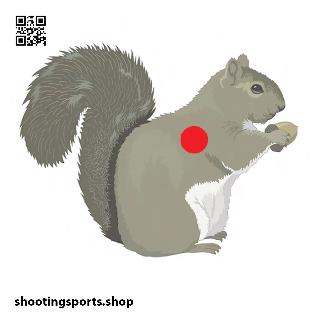 Squirrel Targets - Paper A4 Packs